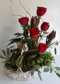 A Bird in Plants