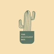 The Succulent Box
