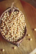 12lb Natto Soybeans For Sale - Soybeans For Natto