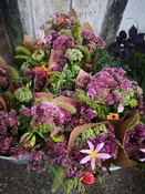 20 Week CSA Flowershare 2025