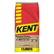 19% Rodent Diet – 50 lb