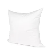 22 x 22 Down pillow insert