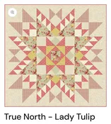 True North Pink kit — Red Barn Quilting