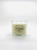 Green Tea and Ginger Soy Candle