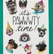 A2 Size It's Pawwwty Time Happy Birthday Dog Card