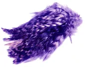 BARRED STRUNG NECK HACKLE. Color: PURPLE