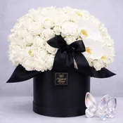 Black Tie Romance NF-Y61