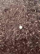 Econo Mulch