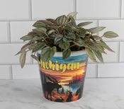 Michigan Souvenir Planter - 86001