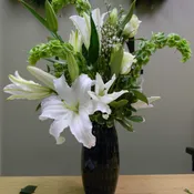 Refreshing Lilys