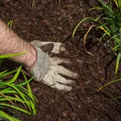 Premium Brown Mulch