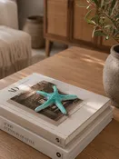 Ceramic Starfish — ben & giules
