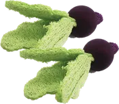 A&E Bird Cage Loofah Turnips Toy for Small Animal