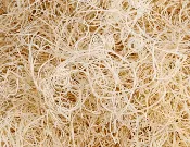 Aspen Wood Shavings 10 LB.