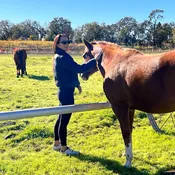 Equine Guided Education | Experiential Self-Development with Horses — Casari Ranch