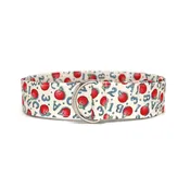 Apple Alphabet Fabric Belt with D Ring | School Style Belt