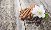 Cinnamon & Vanilla — Pierpoint Candle Company