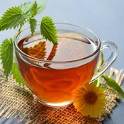 Casari Ranch Farm Tea Party | Sonoma County Outdoor Tea Experience — Casari Ranch
