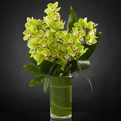 Vision Luxury Orchid Bouquet