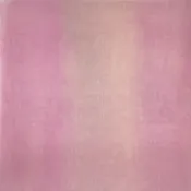 Champagne Blush Organza