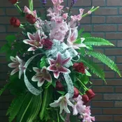 Heavenly Garden
