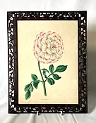 Antique Botanical Print of Dahlia Flower, Framed