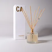 CA Diffuser
