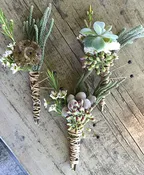 SUCCULENT SERENITY