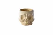 Haunting Skull Pot