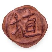 Amaco SH-52 Hibiscus Matte (Pint)