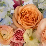 Watercolor Gardens DIY Flower Kit