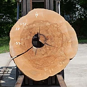 Ash Slab No. 1158