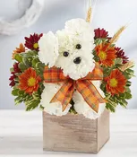 Adogable For Fall