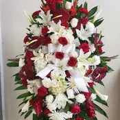 WS-003