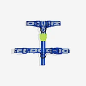 Astro | H Harness