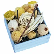 Preserved Rose & Dried Pods Arrangement