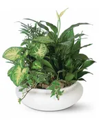 GARDEN PLANTER