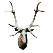 Patinated Life-Size Bronze Stag Trophy Mount — Wolf Hall Antiques