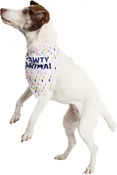 . C.R. Gibson Collar Slide Bandanas