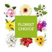 Seasonal Designer's Choice