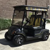 2017 Yamaha Drive2