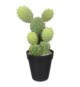 12044 | Artificial Cactus In Plastic Pot