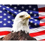 American Eagle