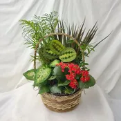 Planter Basket