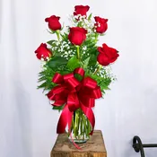 Half Dozen Red Roses