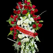 Chaney´s Sympathy Spray 1003