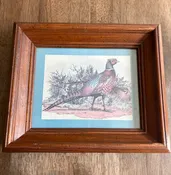 Vintage Pheasant Framed Print
