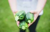 Planning a Successful Vegetable Garden (Apr 11, 2026)