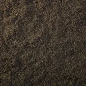 Sand