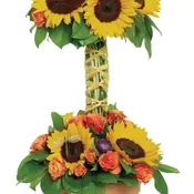 Dragonfly Sunflowers